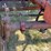 farmall-806-diesel-image-15