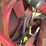 farmall-f-20-image-49