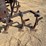 international-harvester-461-fast-hitch-cultivator-image-15