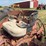 farmall-340-gas-with-loader-image-45