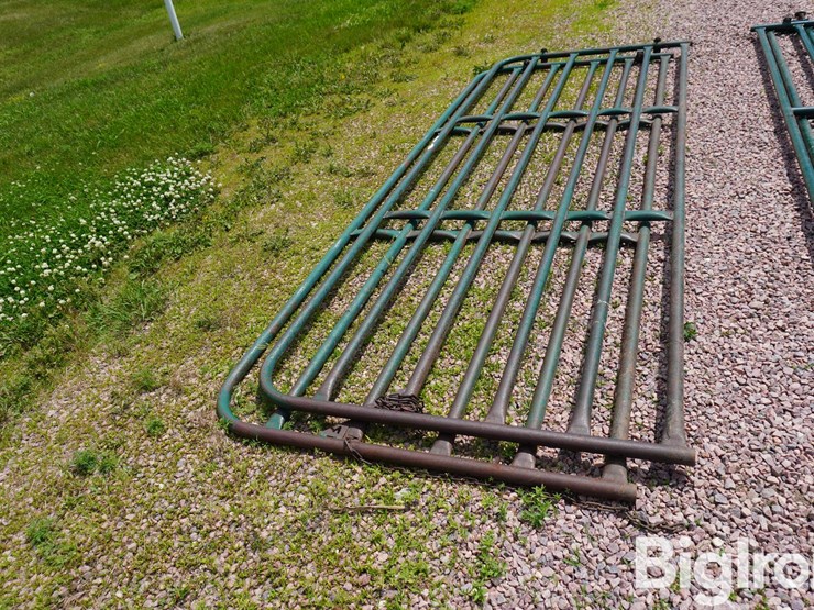 12'-livestock-gates-image-4