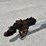 1990-load-rite-boat-trailer-46457-image-10