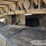 caterpillar-311c-image-13
