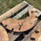 (4)-international-harvester-half-weights-image-4