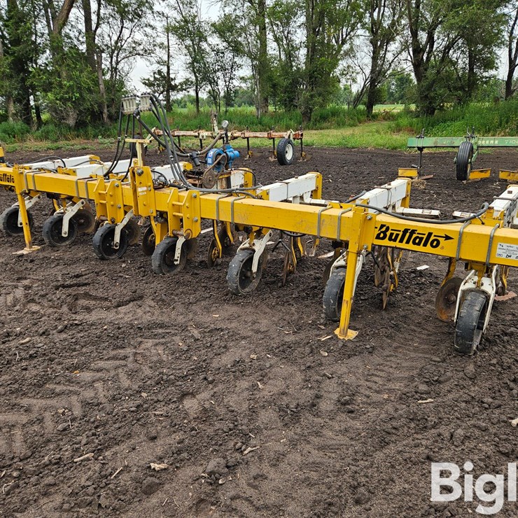 BUFFALO 6300