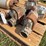 (5)-magnetos-image-4