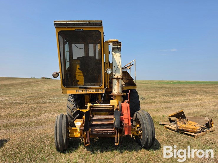 field-queen-7600-image-2