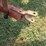 new-holland-316-image-2