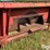 case-ih-1063-image-9