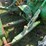 1981-john-deere-2440-image-12