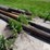telephone-poles-image-4