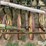 john-deere-ll-image-14