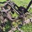 avery-three-bottom-14”-pull-type-moldboard-plow-image-7