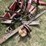 international-1300-image-2