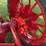 1937-farmall-f-12-image-31