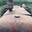 international-mccormick-deering-wd-9-image-11
