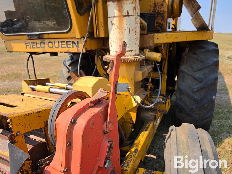 field-queen-7600-image-14