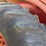 farmall-1566-turbo-image-31