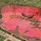 farmall-wheatland-fenders-image-10