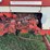 farmall-340-row-crop-image-21