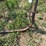 plow-trash-wheel-image-4