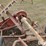 international-1100-image-18