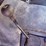 2006-ford-f550-xlt-sd-image-92