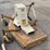 woods-rm306-image-5