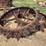 (2)-steel-wheels-image-1