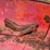 farmall-wheatland-fenders-image-11
