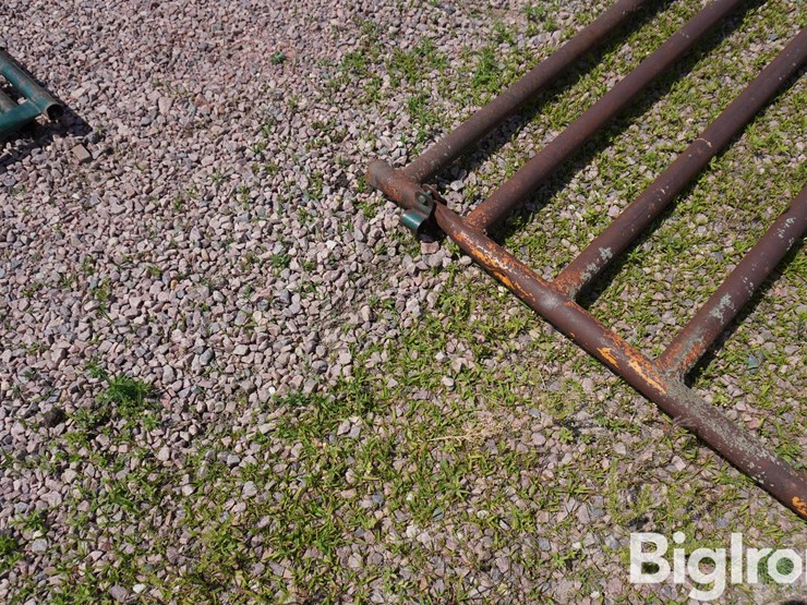 14'-livestock-gate-image-9