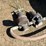 pressure-washer-image-4