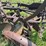 avery-three-bottom-14”-pull-type-moldboard-plow-image-8