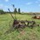 avery-three-bottom-14”-pull-type-moldboard-plow-image-1
