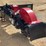 unused-raytree-29"-stump-grinder-skid-steer-attachment-image-1