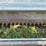 gleaner-l3-image-12
