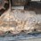 2021-bobcat-t64-image-30