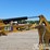 2023-caterpillar-301.7cr-image-14