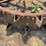 (2)-steel-wheels-image-11