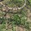 plow-trash-wheel-image-7