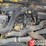 2017-jcb-510-56-image-21