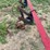 international-harvester-34-461-fast-hitch-mounted-cultivator-image-5
