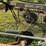 m&w-bf10-image-18