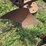 international-harvester-two-bottom-pull-type-moldboard-plow-image-15