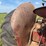 international-mccormick-deering-wd-9-image-38