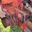 massey-ferguson-444-image-25