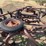 mccormick-deering-four-bottom-pull-tyle-mold-board-plow-image-15