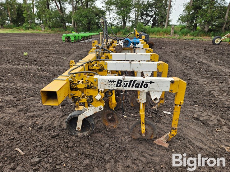 buffalo-6300-image-8