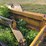 international-td14-image-12