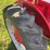 farmall-cub-image-28